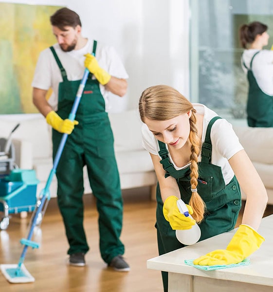 Professional cleaning team in Newcastle ready to clean your home